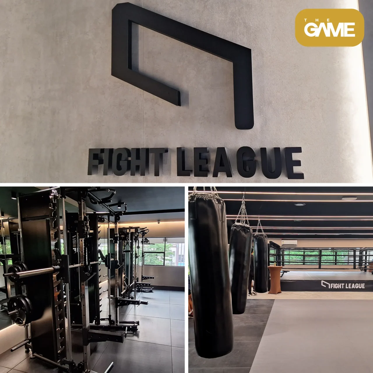 Fight League Blazes a Trail in Combat Sports Training
