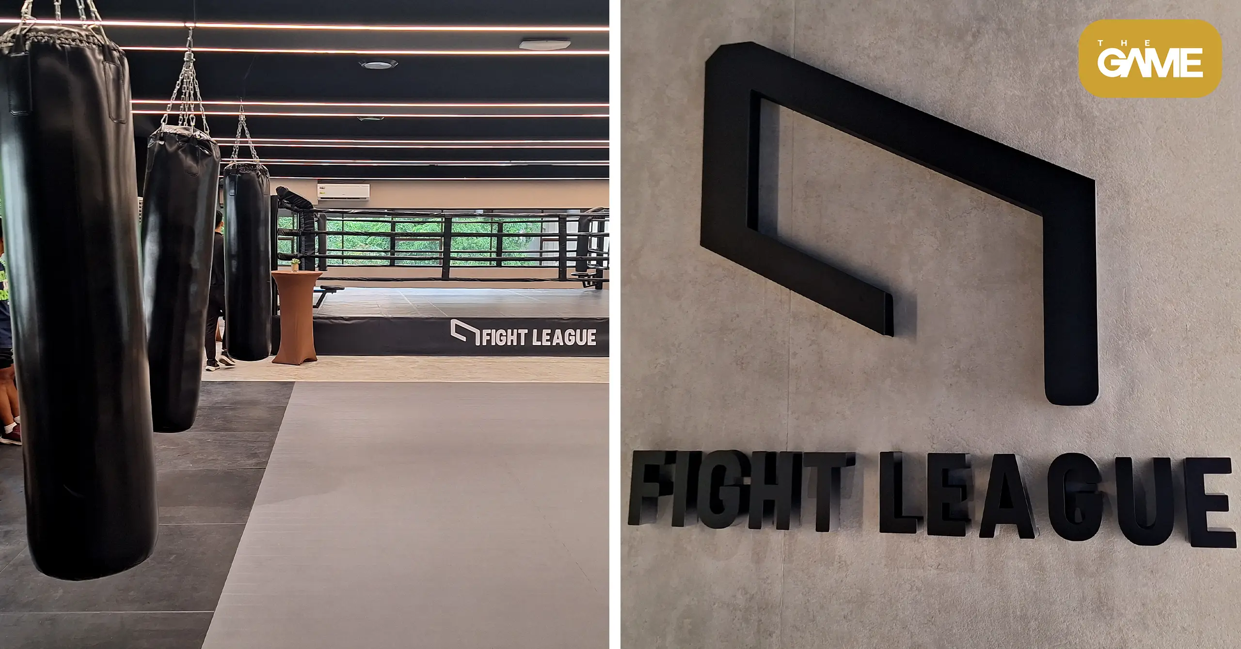 Fight League Blazes a Trail in Combat Sports Training